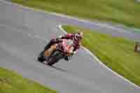 brands-hatch-photographs;brands-no-limits-trackday;cadwell-trackday-photographs;enduro-digital-images;event-digital-images;eventdigitalimages;no-limits-trackdays;peter-wileman-photography;racing-digital-images;trackday-digital-images;trackday-photos
